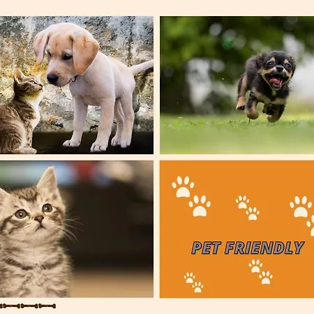 Bed & Breakfast View