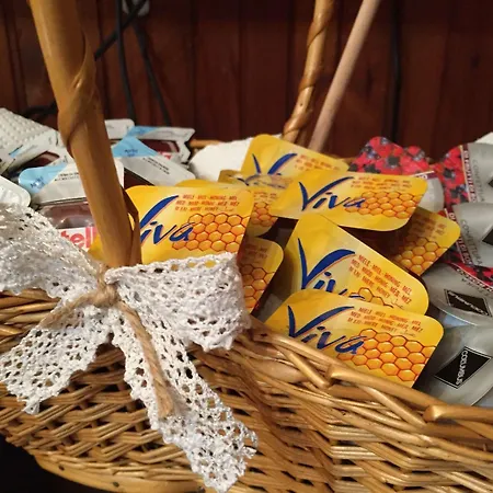 住宿加早餐酒店 View