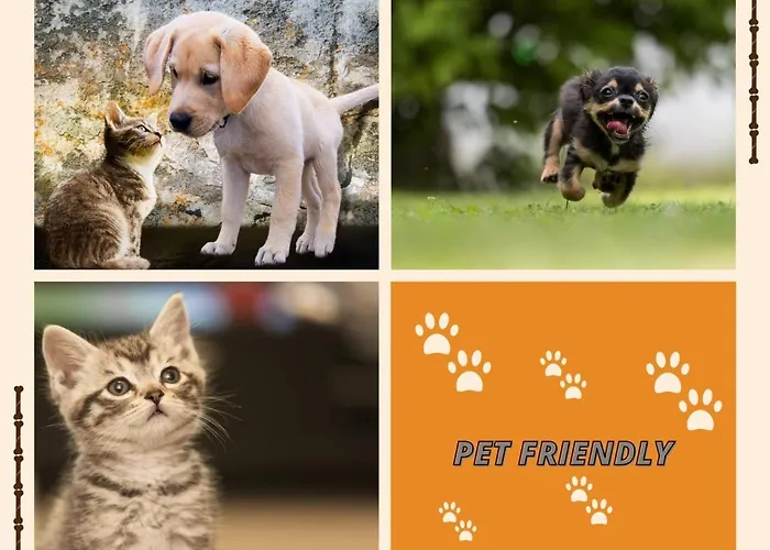 Bed and breakfast View